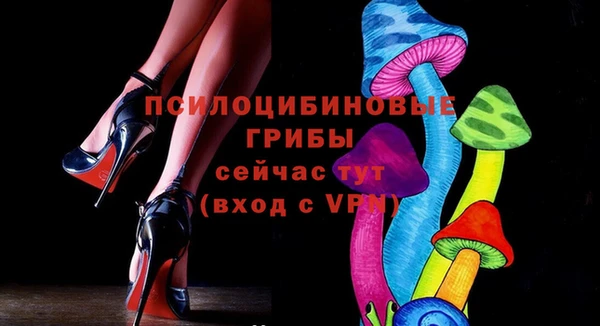 стаф Сосновка