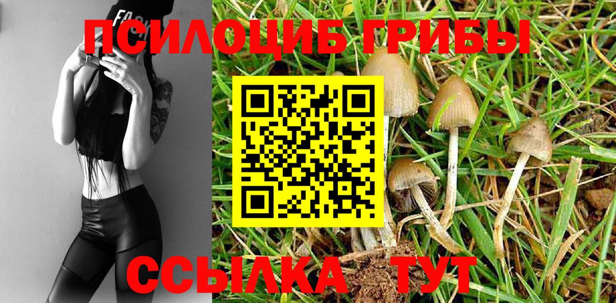 где продают наркотики  Вход с VPN  Галлюциногенные грибы мухоморы  Верхний Уфалей  Галлюциногенные грибы мухоморы 